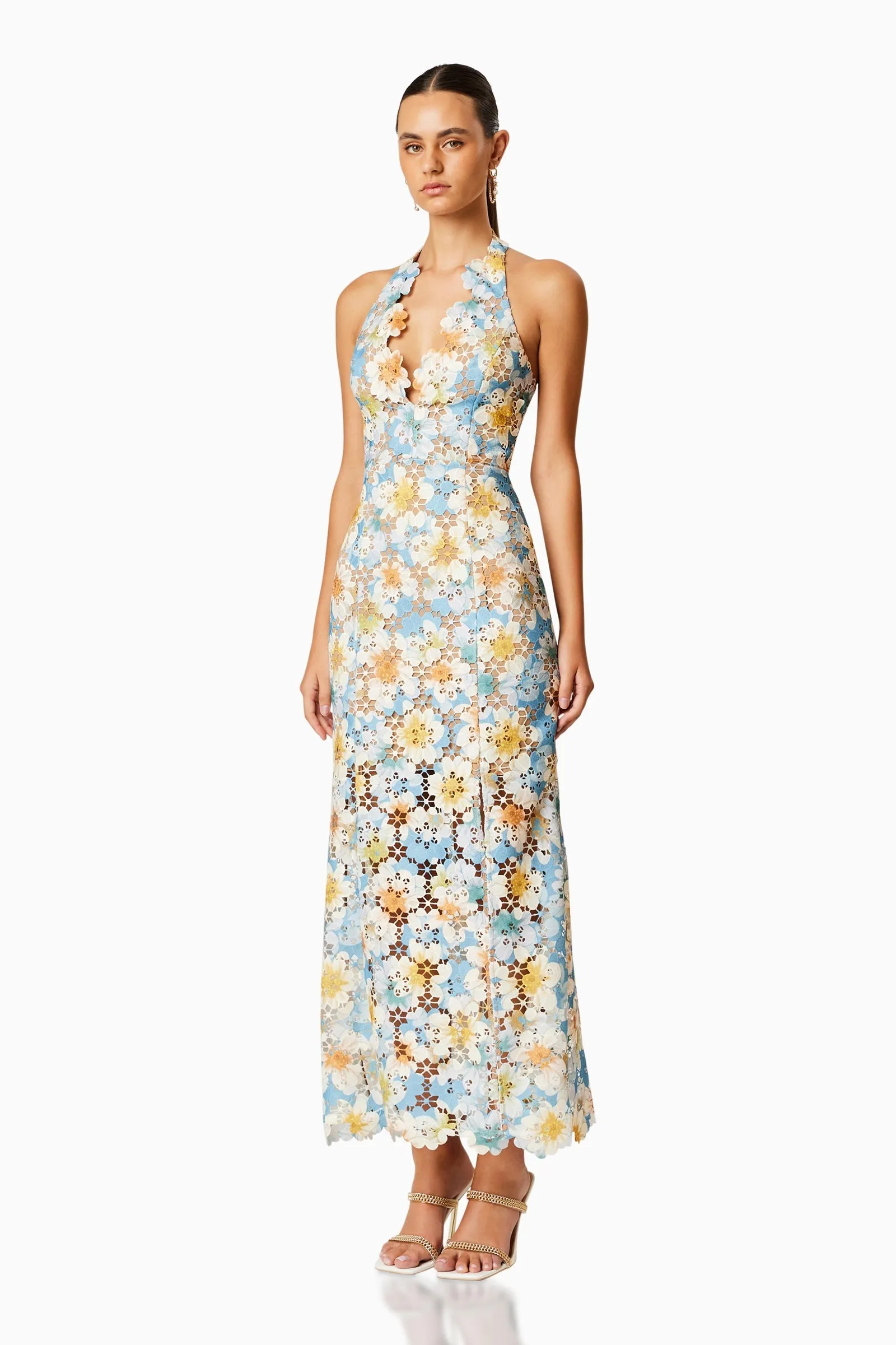 Elliatt Nesting Floral Lace Maxi Dress In Multi