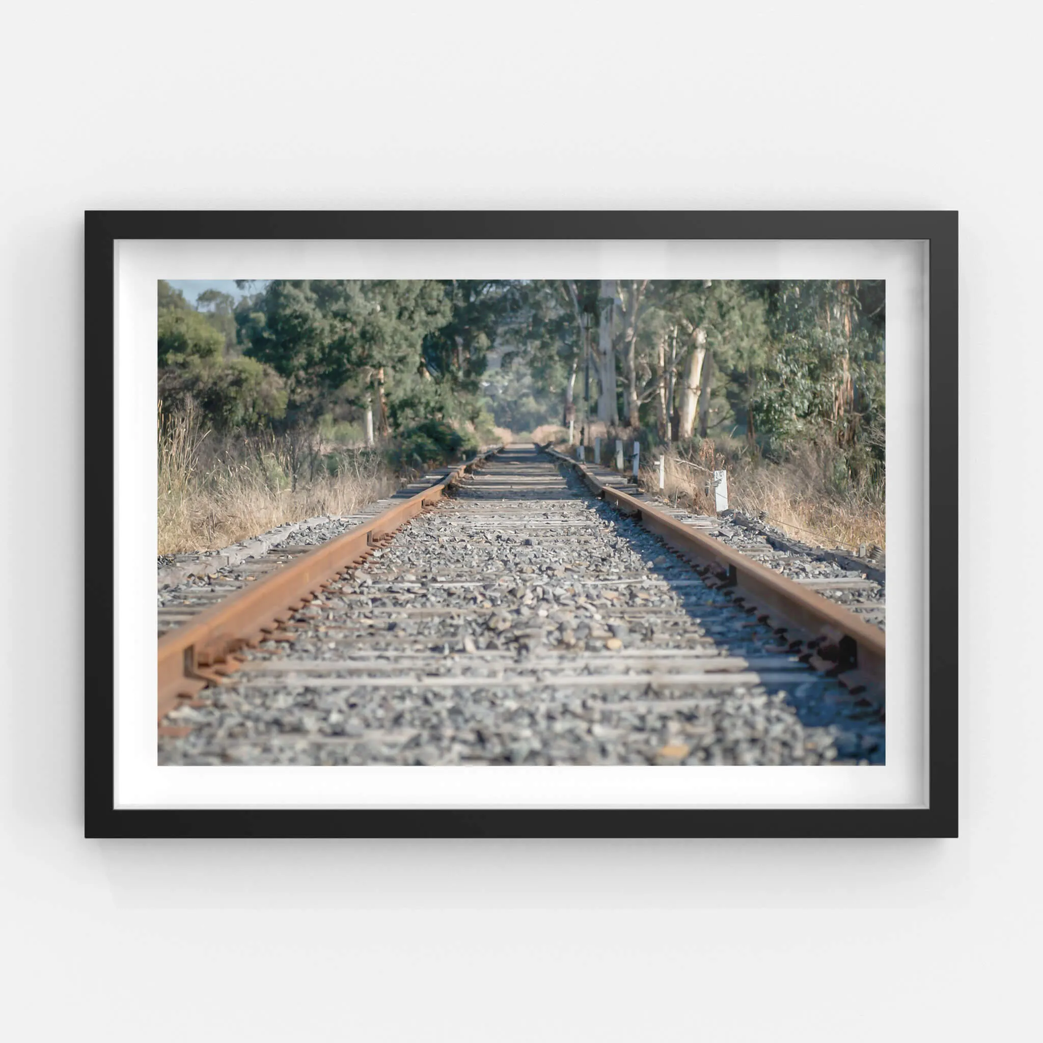 Healsville Railway | Landscapes