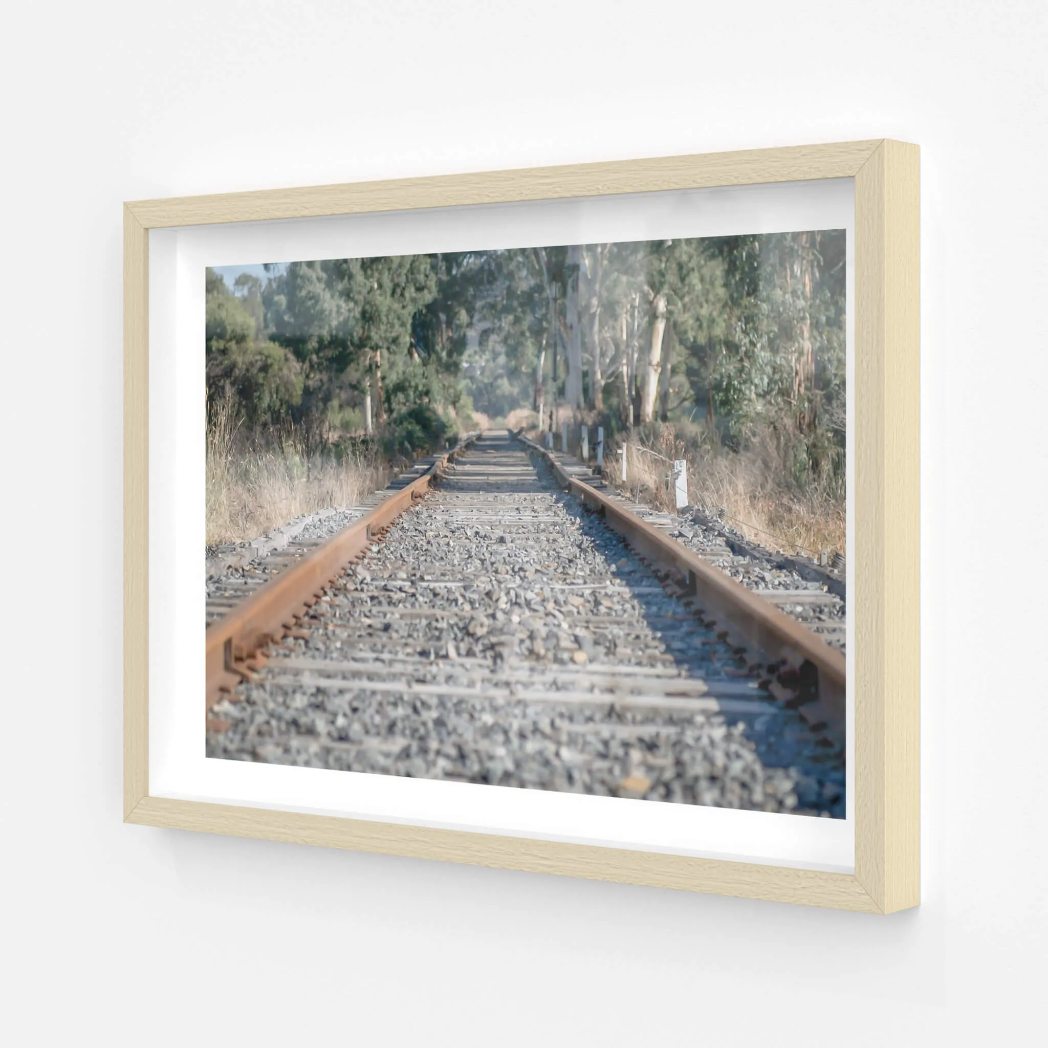 Healsville Railway | Landscapes