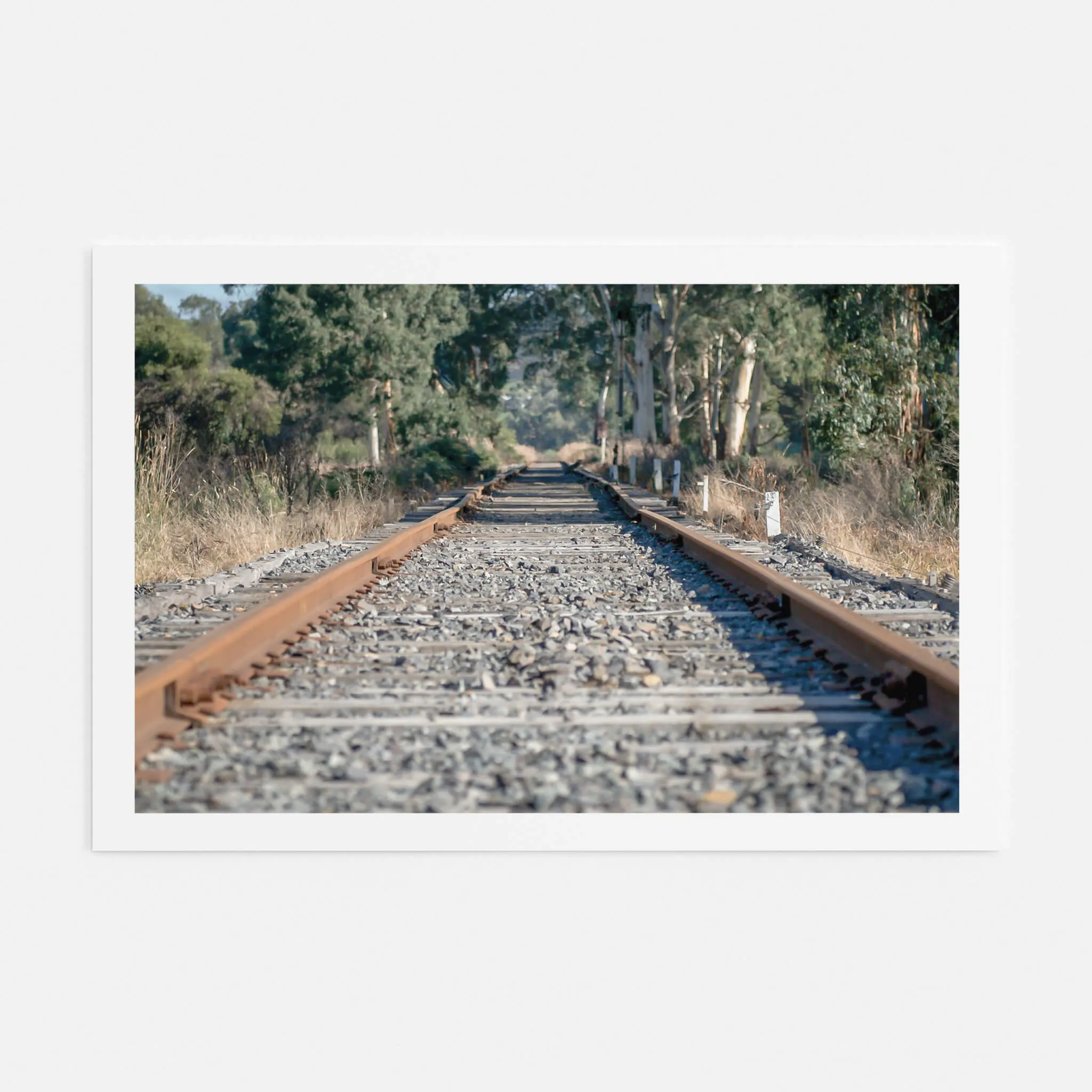 Healsville Railway | Landscapes