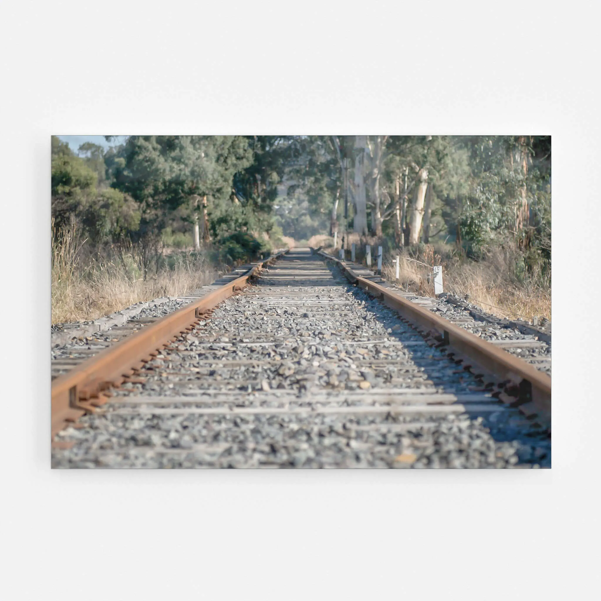 Healsville Railway | Landscapes