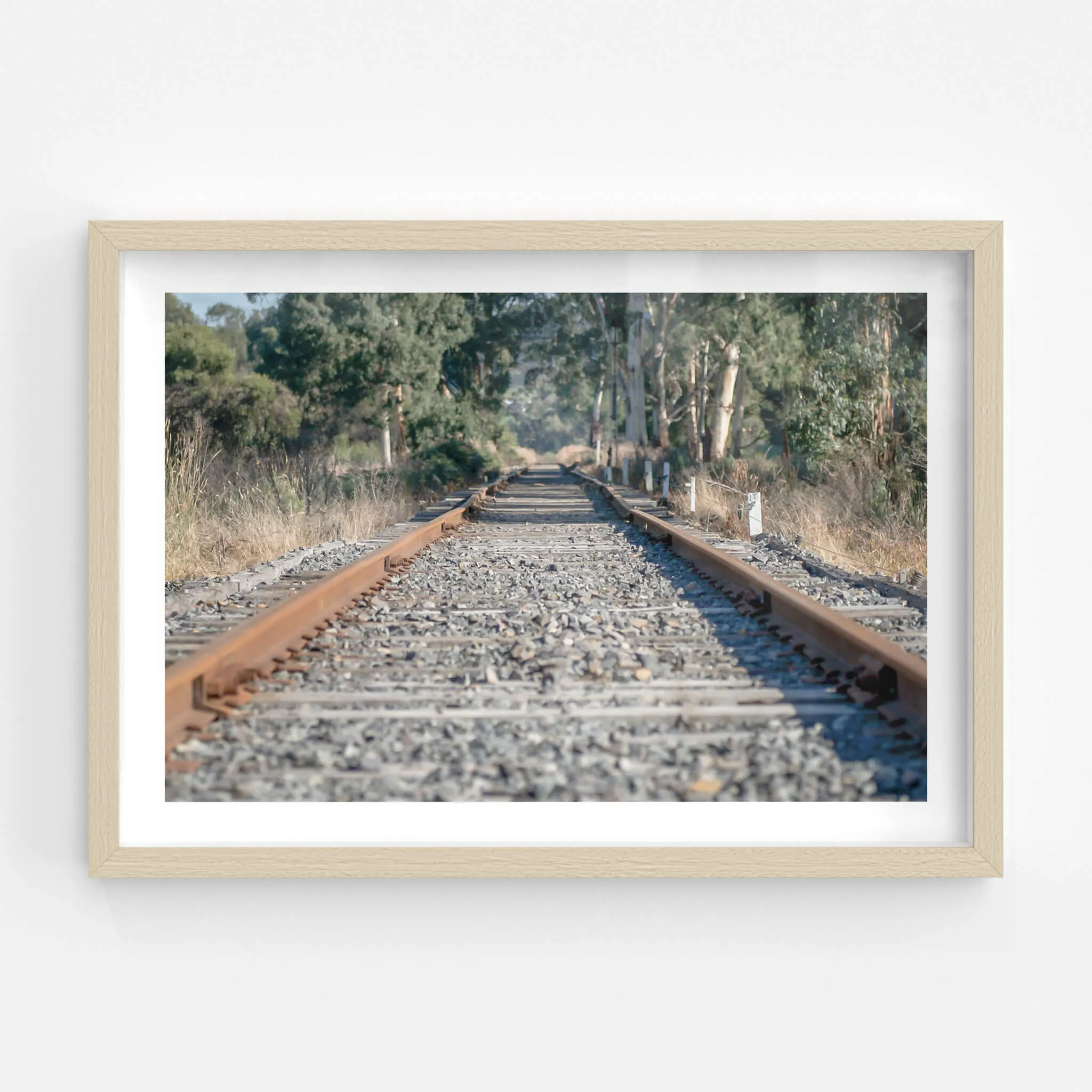 Healsville Railway | Landscapes