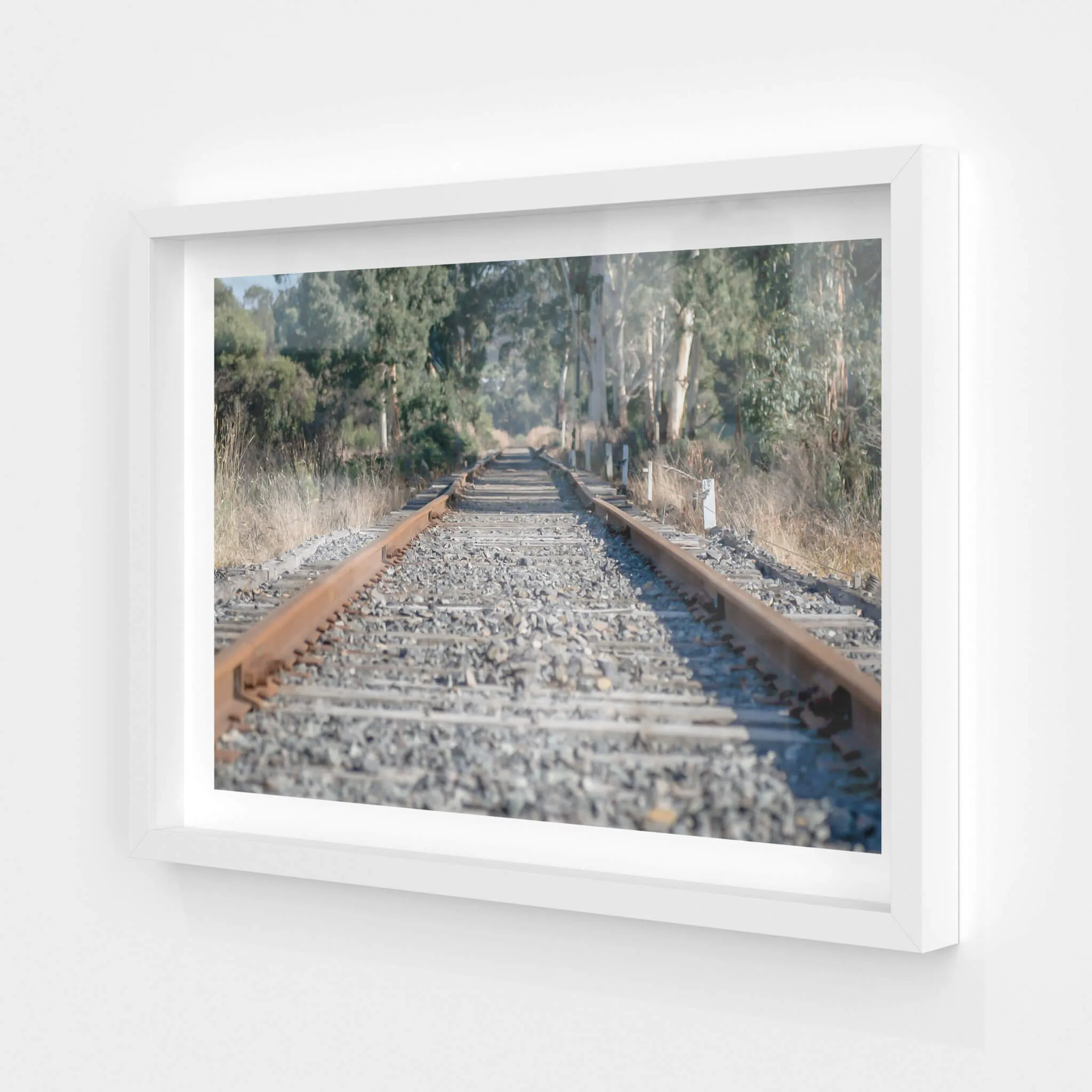 Healsville Railway | Landscapes