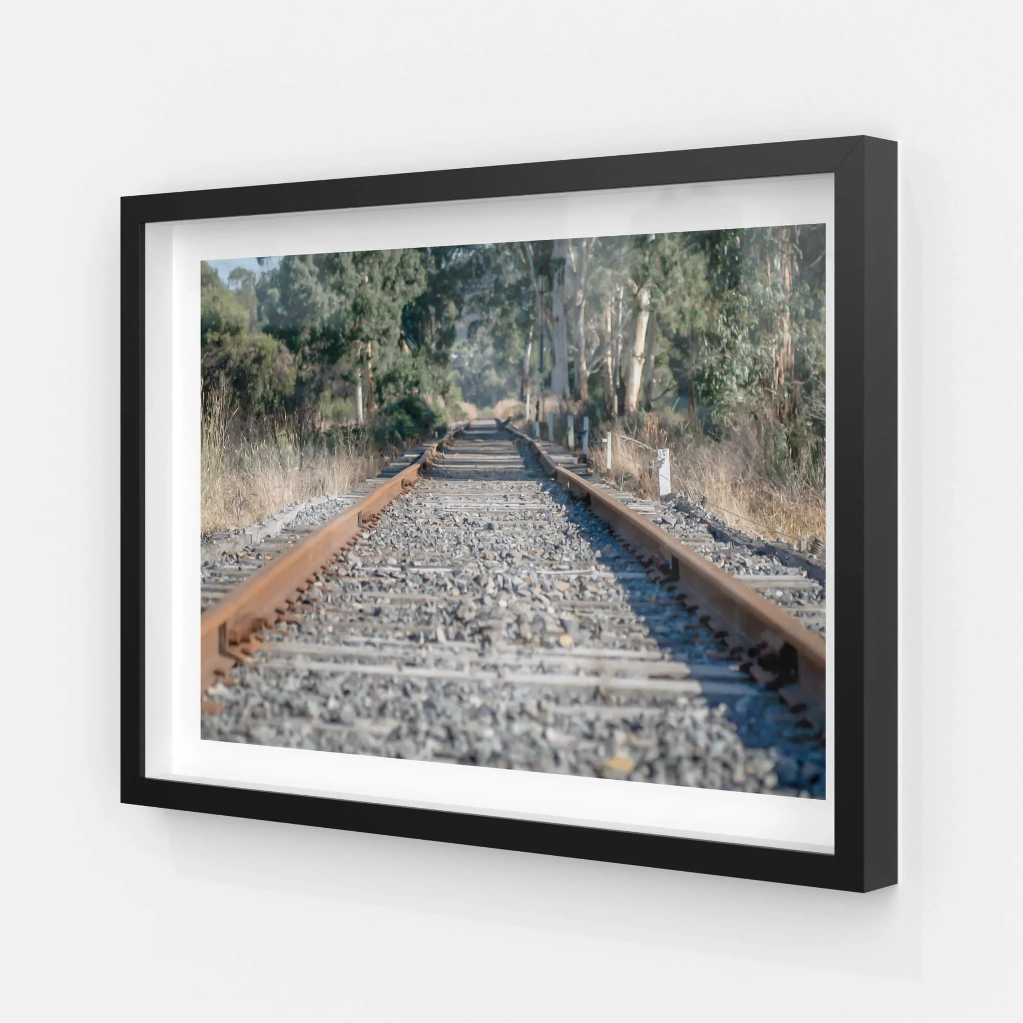 Healsville Railway | Landscapes