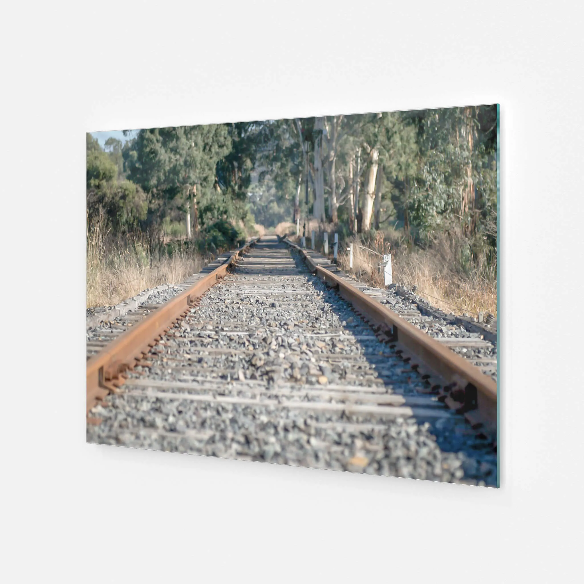 Healsville Railway | Landscapes