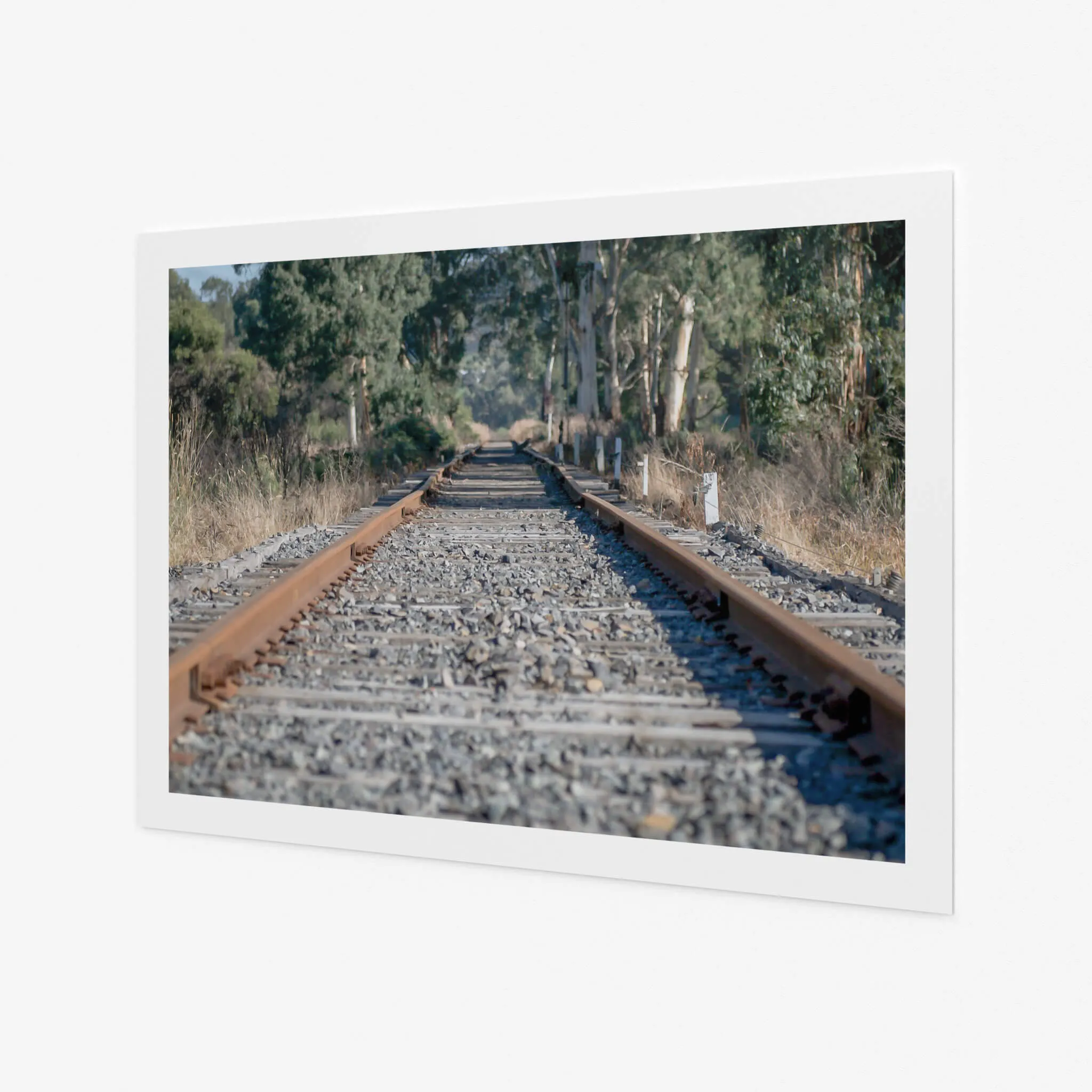 Healsville Railway | Landscapes