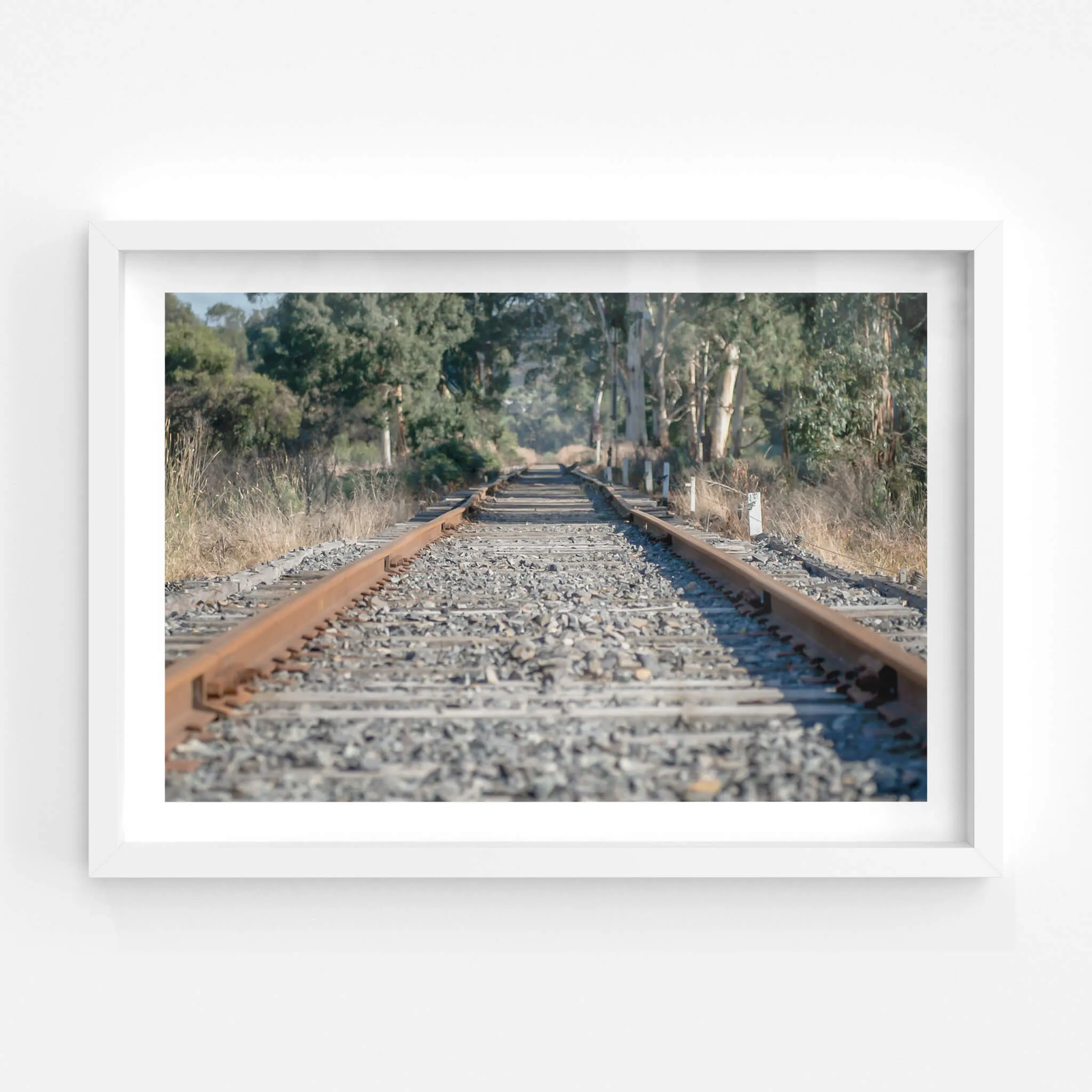 Healsville Railway | Landscapes