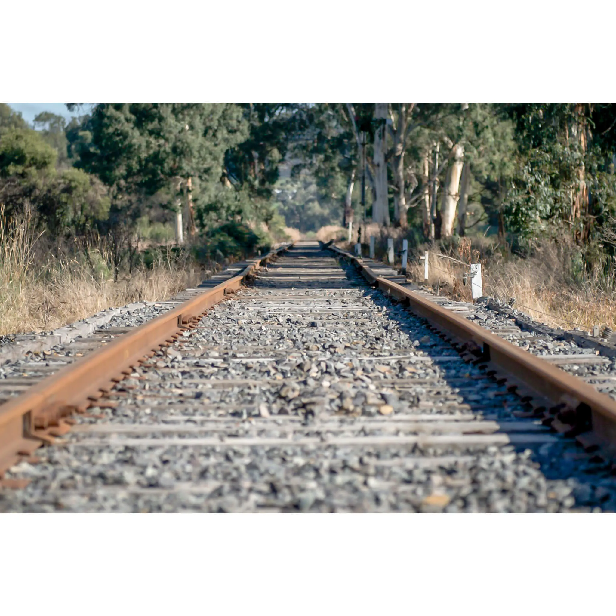 Healsville Railway | Landscapes