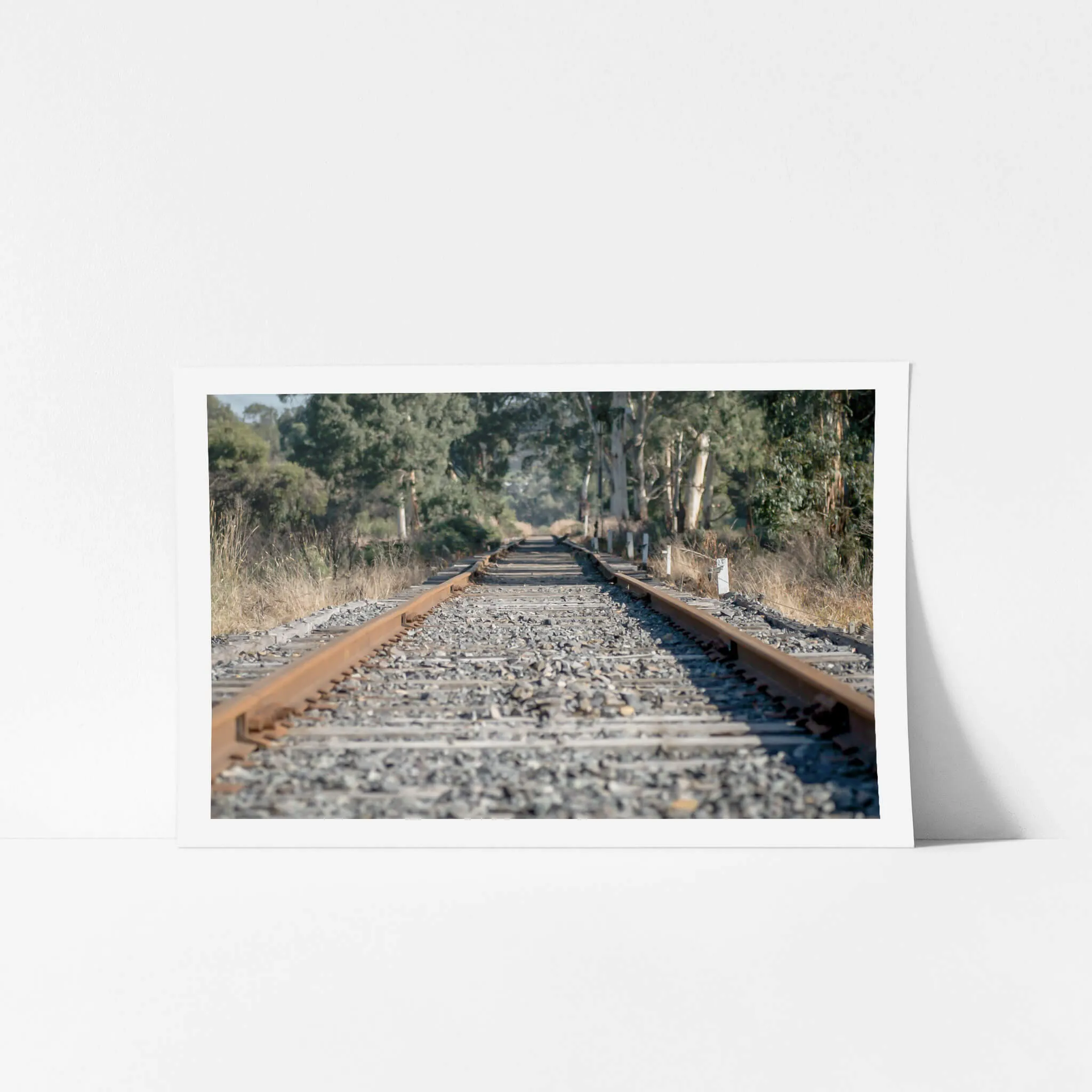 Healsville Railway | Landscapes