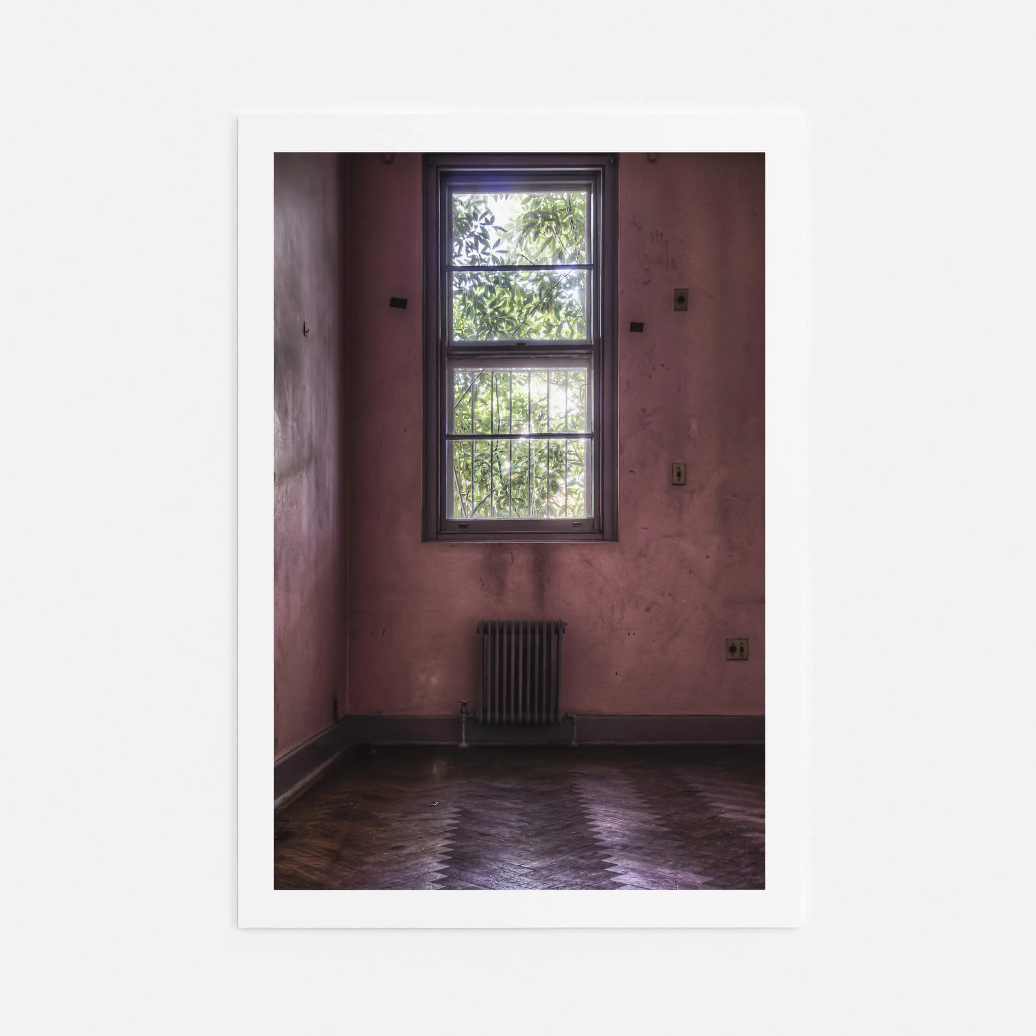 Pink Room | Callan Park