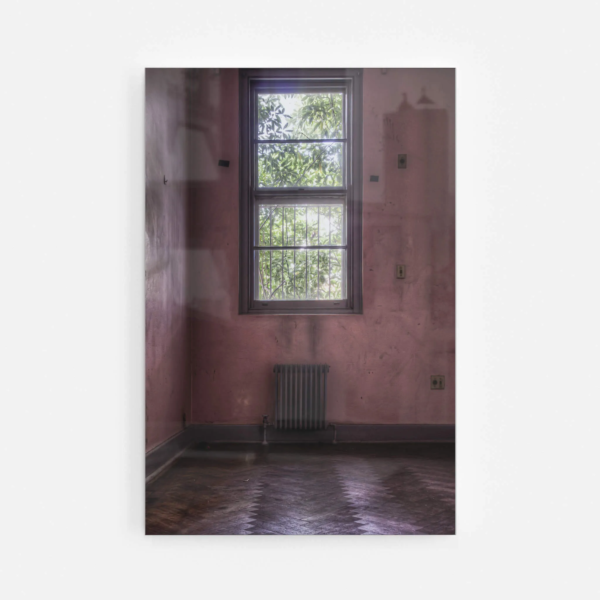 Pink Room | Callan Park