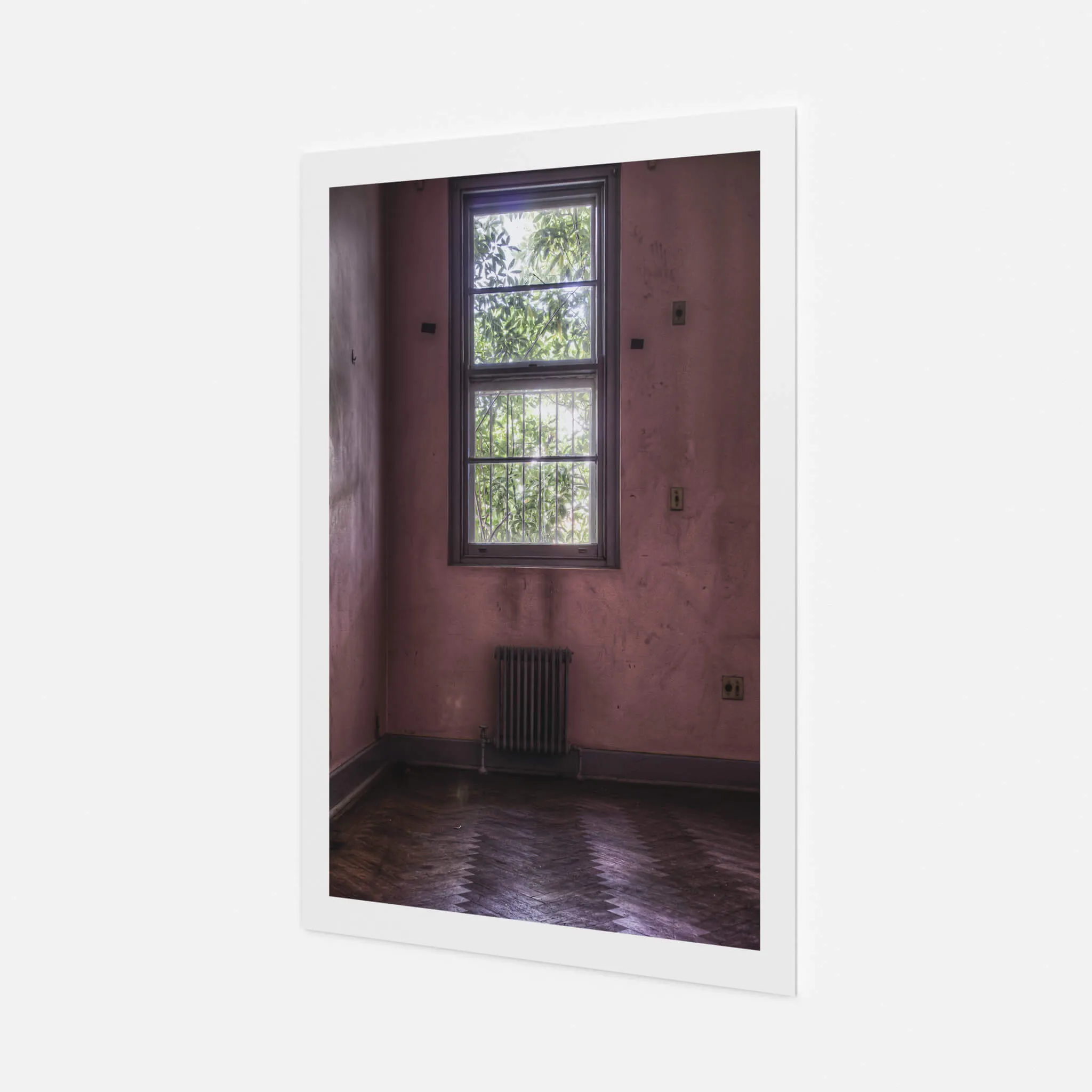 Pink Room | Callan Park