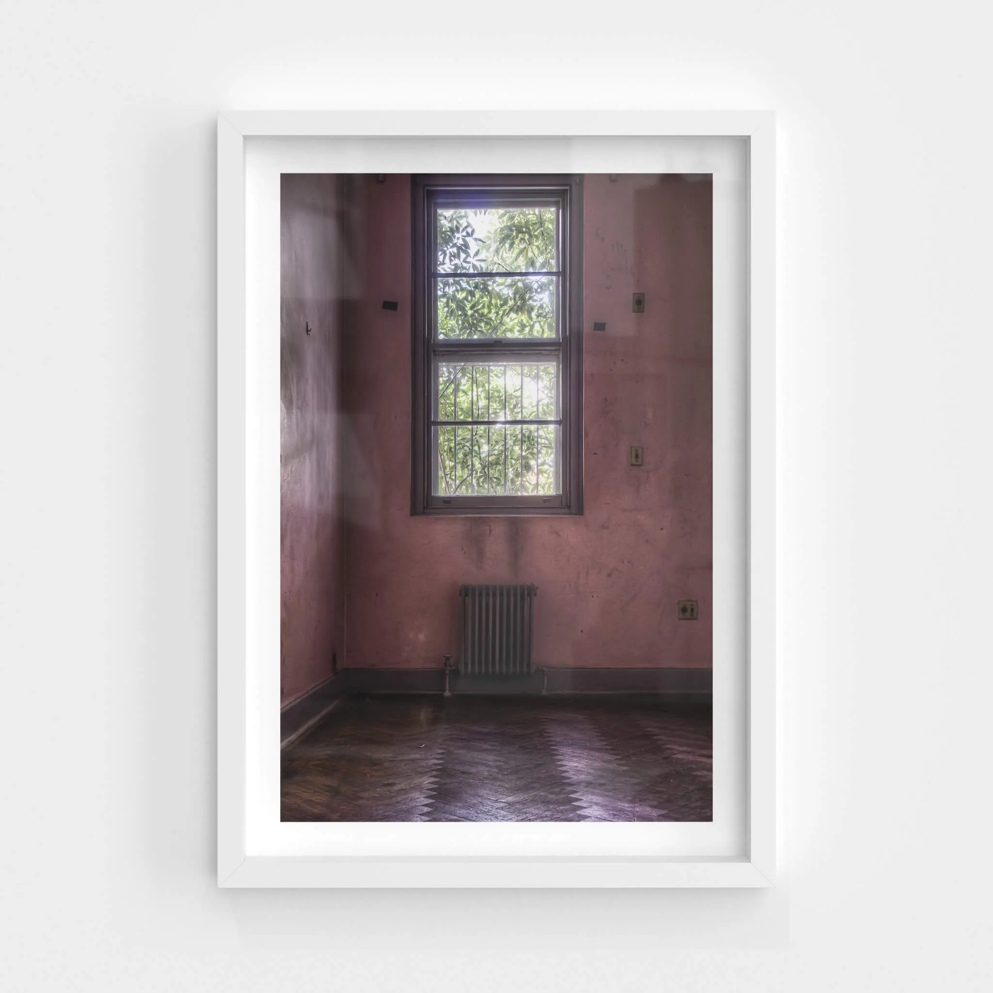 Pink Room | Callan Park